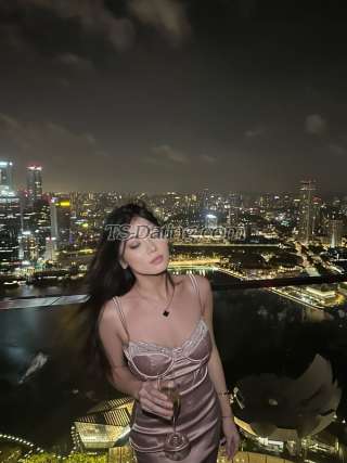 trans girl Shalee 8454342