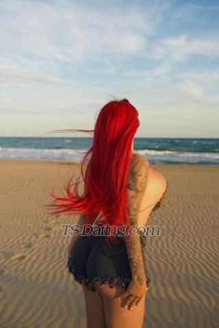 trans girl Shanellxl 3358709