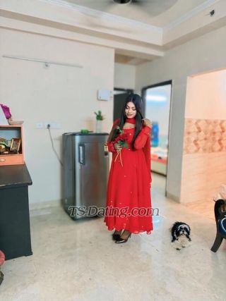 trans girl Shanvi 8257176