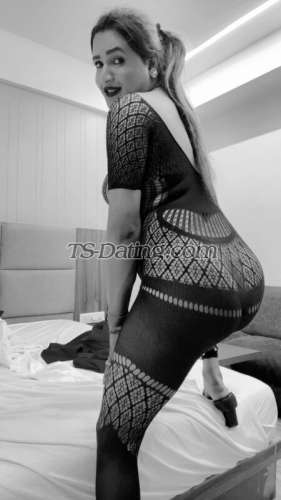 trans girl SheenaTS 4308417