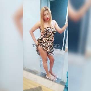 trans girl SheenaTS 5689443