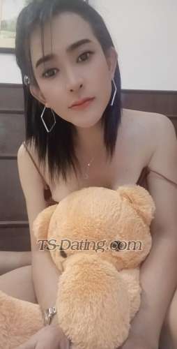 trans girl trans girlMiMi 2989079
