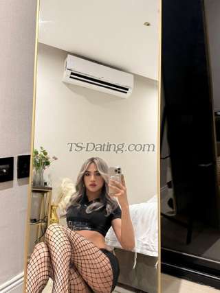 trans girl trans girlTina 8004560