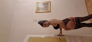 trans girl trans girlsisi 9436286