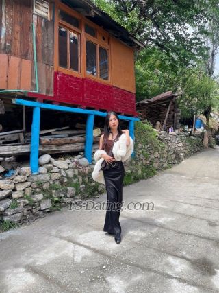 trans girl Shimmerdema 2395891