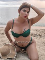Shinevanderh Pampanga Transex Whatsapp: +639159561929
Line; briannavanderhursrt
snapchat:  bvanderhurst

wechat: +66824152900

Viber : +639950491506

Telegram : +639159561929



 Hello im BRIANNA  Your TOP Trans, in angeles   Wants to CUM with you, lets suck and cum, i have also other trans to join with us in bed if you want, she pure Bottom, and so feminine, ask me about her photo and will send to you!

im selling also nude photos and videos, and available for videocall if you are not in the philippines yet call and message me now if you horny, i do have charge

im the most sensational  TRANS in town I’ll be your Hard TOP, in Bed my 6.5 fully funcational juicy COCK wants to play and SQUIRT with you, you will also enjoy my big lickable BOOBS,and big fuckable ASS  GirlFriend expirience,, SENSUAL MASSAGE, is AVAILABLE with happy ending 


are you? FIRST TIMER in TS? 
then come and grab me, im sure i can make you comfortable being with me   dont  worry, i wont bite you babe, instead illl just lick and suck you off.

HUNGRY? then eat my 6 inches JUICY cock darling,  im ready to shoot with you my hot creamy CUM! and make you really FULL   u can have me till the last drop..

LOOKING FOR FUN?
then beep me  and lemme  join you  i do looking for a hot fun too  ready for some hot action to serve and give  that you'll surely love..

once again, its me   TsBrianna  that loves  giving and taking so much pleasure, 
a ts that worth trying babe  and that you will surely  love and enjoy  being with, 
a SERVICE that worth every cent you spend, because im EXPERT in not just giving a hot service, but making people, HAPPY AND SATISFIED too 

go and grab me, dont miss the chance to be with me,
unforgetable experience is waiting you 
 SEE YOU!!!
CAM SHOW!! via VCALL iam ,SELLING also VIDEO,    play with GUY?real girl other trans? Message me LETS PLAY and CUM!!!







