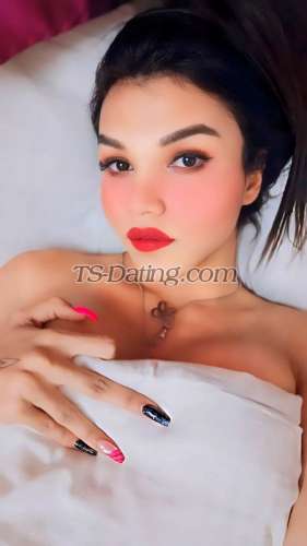 trans girl Shizuka69 7233246