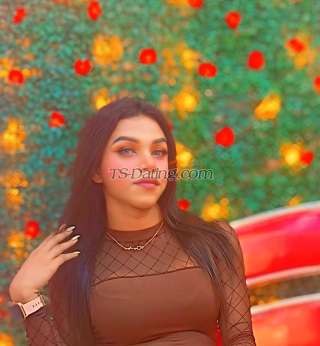 trans girl Shizuka69 7233284