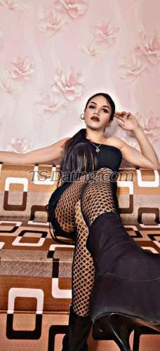 trans girl Shizuka69 9391801