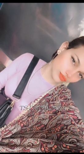 trans girl Shobiqueen 8559707