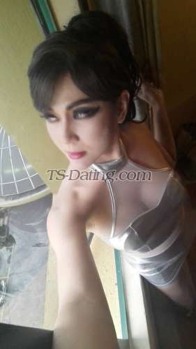 trans girl ShonaliShona 5652154 trans girl ShonaliShona 5652154