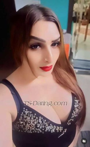 trans girl Shraddha241 3506892