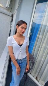 Shristisingh Delhi Transex Hallo, hey ... ich bin Shristi auf dieser Seite. Ich bin ein Shemale. Ich biete das komplette Boyd-Spiel mit Küssen, Ficken und Saugen bei allen angebotenen Diensten an ... Meine Gebühr beträgt freche 7k Vollständige Aktfotos, Videoanruf, 2 K Auswärtsbesuch 15k