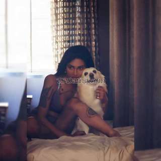 trans girl Shuvi666 1523349