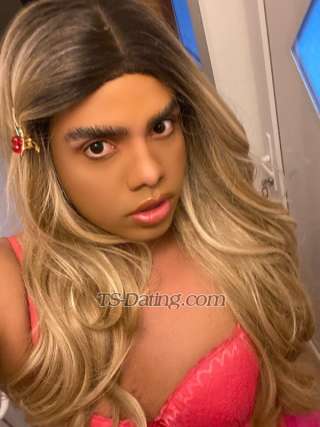 trans girl SienaBerto 1357564