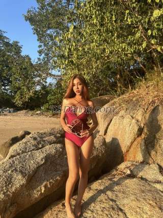 trans girl Sintyadian 6827480