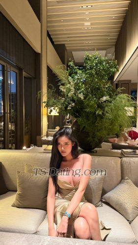 trans girl Siri2025 5657776