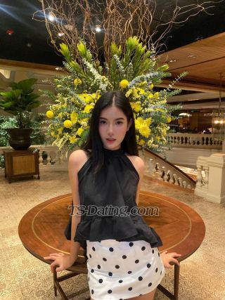 trans girl Siri2025 6539327 trans girl Siri2025 6539327