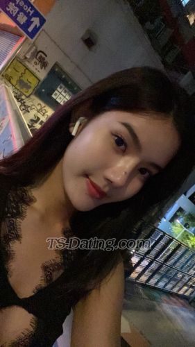 trans girl Siri2025 7067319 trans girl Siri2025 7067319