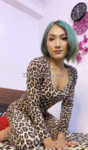 Shemale-Siru23-8596976