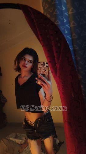 trans girl Sizzlinglily 3325354 trans girl Sizzlinglily 3325354