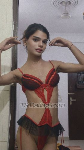 trans girl Sizzlinglily 3326706 trans girl Sizzlinglily 3326706