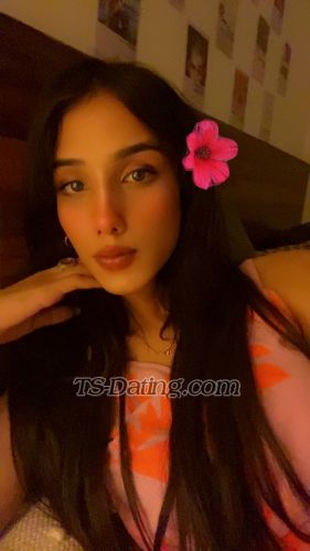trans girl Sizzyy 7588268