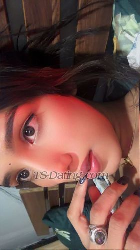 trans girl Sizzyy 8267304 trans girl Sizzyy 8267304