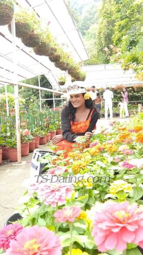 trans girl Snehil 3503256