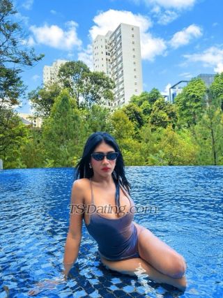 trans girl SofhieHeart 3908665 trans girl SofhieHeart 3908665