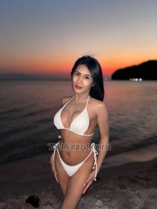 trans girl SofhieHeart 4809877 trans girl SofhieHeart 4809877