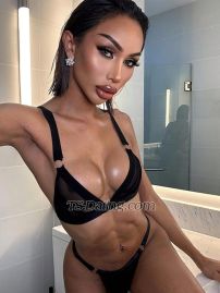 Somonn Bangkok Transex Hi I'm Somon 🏳️‍⚧️ ladyboys have Dick 7
inches 💻 Instagram : Charlenarrr
(152k)💻 X : @soso_7inches (354k)☎️ WhatsApp
: +66628426610(On PrEP) 💊If you want
me , You will receive exciting experience, please send me a
message 📥Available for men ready to pay 💰
📍 Bangkok , TH 🇹🇭🔻❗️TOP
❗️BOTTOM❗️DICK 7 INCHES ❗️PERFECT
BODY❗️HAND JOB , BLOW JOB ❗️KISS , SUCKING
, LICKING ❗️CUM ON FACE , CUM IN MOUTH
💰 HOW TO PAY 💰- CASH-
INTERNATIONAL BANK TRANSFER- PAYPAL -
WISE💵 MY RATE ………….฿ SEND
MESSAGES ONLY (WHATSAPP) 📲 +66628426610
