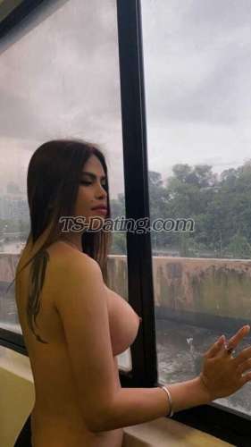 trans girl Sophia10 8385665