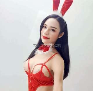 trans girl Sozarabarbie 6025472