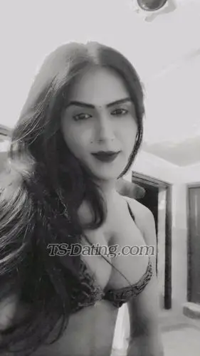 Shemale Stella9090 7534873