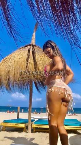 trans girl SuellenPorto 2131002 trans girl SuellenPorto 2131002