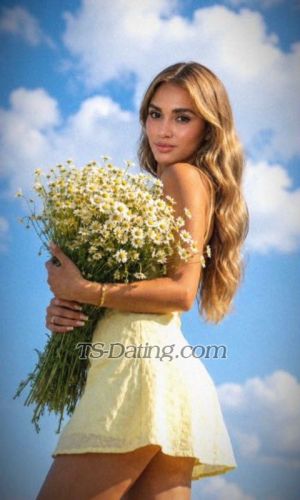 trans girl SugarHolly 2928136 trans girl SugarHolly 2928136