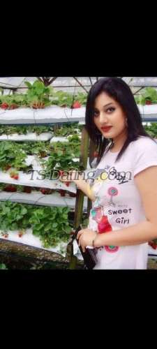 trans girl SuhanaT 1487959