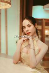 Summer33 Tsim Sha Tsui Transex Hi darling! 
My name is Summer or you can call me Mia from Bangkok Thailand 
I'm 22 years old. My physique exhibits the classic elegance of a natural Thai woman, standing at an impressive height of 167cm and weighing a mere 50kg. Additionally, I possess a well-defined B-cup bust, a hair-free body, and a remarkably alluring derriere that is sure to captivate your attention. If you are in search of a truly unique and exceptional companion, I would be honored to be your top choice.

I'm absolutely nice and funny and I can do everything you offer me.
I’m shaved Safe and clean 100%

*** ONLY FOR MAKE AN APPOINTMENT ***

🪛Line id : Miangmia https://line.me/ti/p/kQtzGFs1so
🪛Whatsapp : +66 932435528
🪛Telegram : +66 932435528 , miangmia33 
🪛Instagram : Miang_miang_and_miang
🪛Wechat : CH5528CH

I eagerly anticipate the opportunity to meet you in person. Until then, take care and best regards! ❤️✨