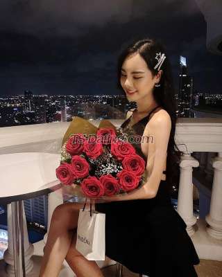 trans girl Summer33 5077463 trans girl Summer33 5077463