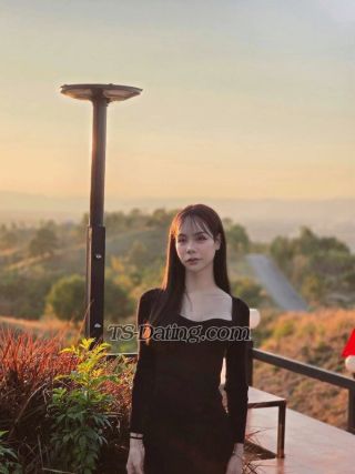 trans girl Summer33 7545894