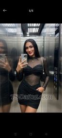 SunnyHeeBo Patong Transex I'm Sunny in Patong Phuket I am do freelance here I am can be both and if you want to meet me or know me more contact me  nice too meet you ka