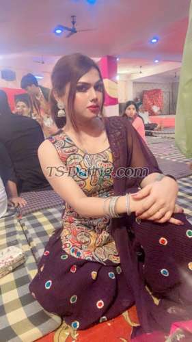 trans girl Sushy 3803424