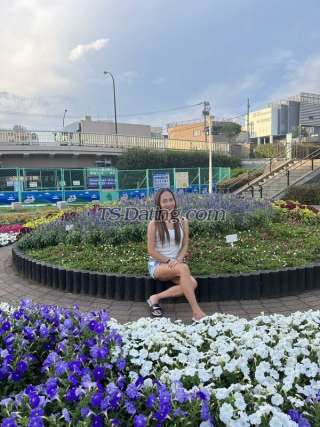 trans girl SweeMistress 5704994