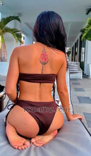 trans girl SweetCinderel 0738653