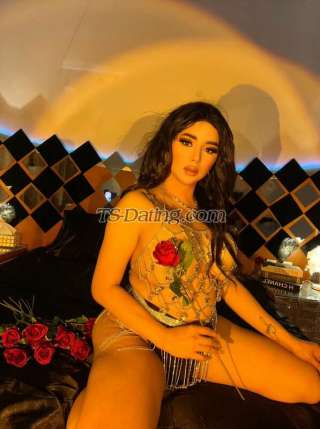 trans girl SweetDanicaX 3655604