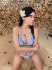 SweetKimmy Cagayan De Oro Transex Je suis juste un simple transgenre et je suis prêt à vous donner du plaisir ✨