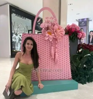 Shemale Sweetbarbie03 4464592 Shemale Sweetbarbie03 4464592
