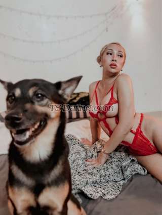 trans girl Sweetcupcake 9095718