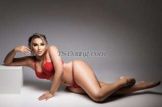 trans girl Sweetiemaria 1726387 trans girl Sweetiemaria 1726387